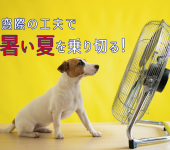 窓際の工夫で暑い夏を乗り切る！